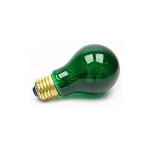 Lâmpada Incandescente 40W 127V - Sanex