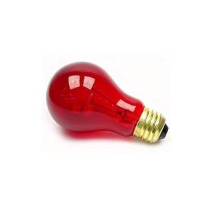 Lâmpada Incandescente 40W 127V - Sanex